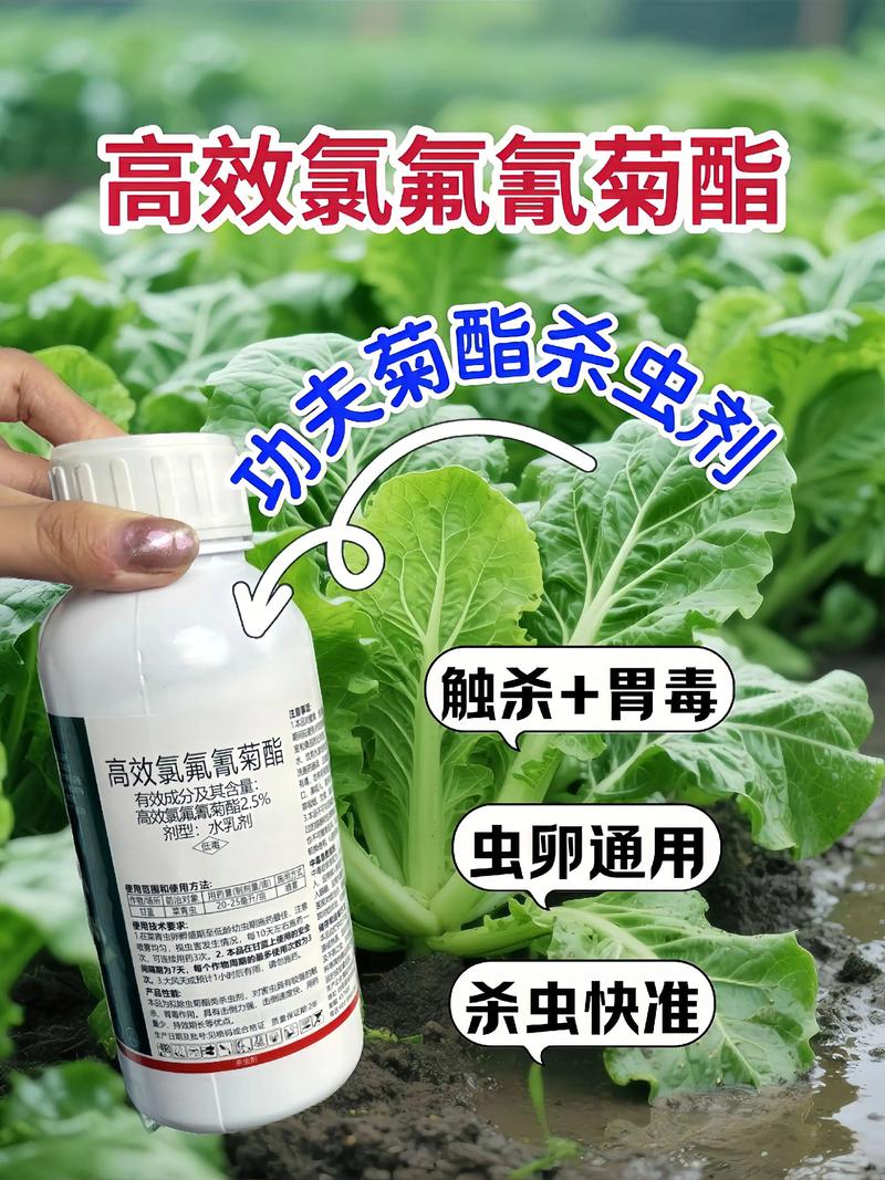 晋中代生中心:农药对供卵代生妈妈的危害